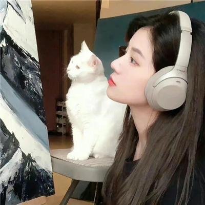掉链子刑警