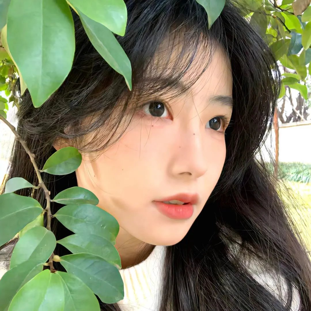 婚前试爱
