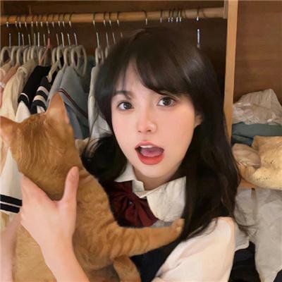 帝企鹅日记